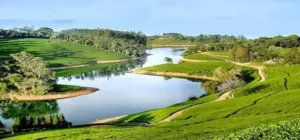 Ooty Tour packages for 1-night 2-day vacation